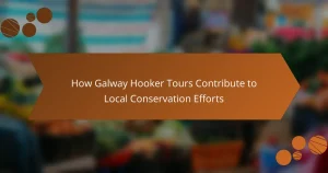How Galway Hooker Tours Contribute to Local Conservation Efforts