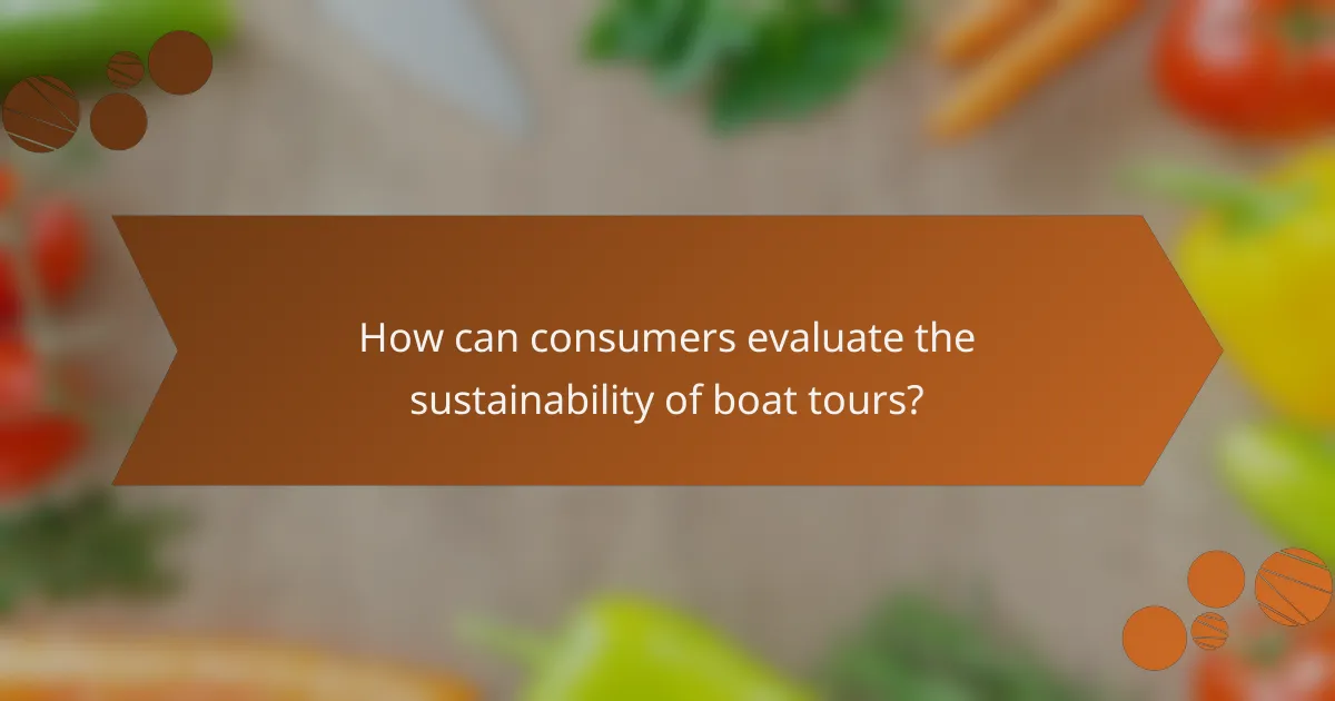 How can consumers evaluate the sustainability of boat tours?