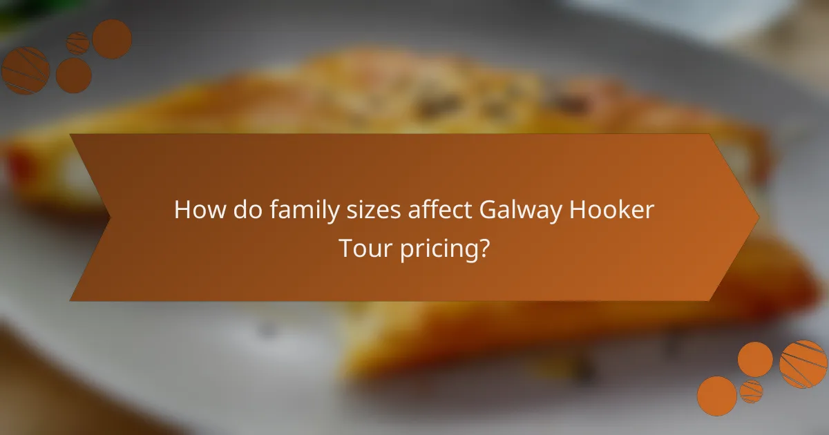 How do family sizes affect Galway Hooker Tour pricing?