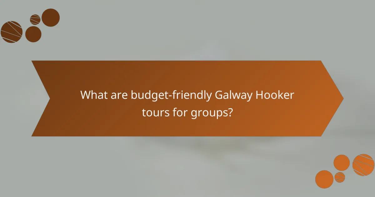 What are budget-friendly Galway Hooker tours for groups?
