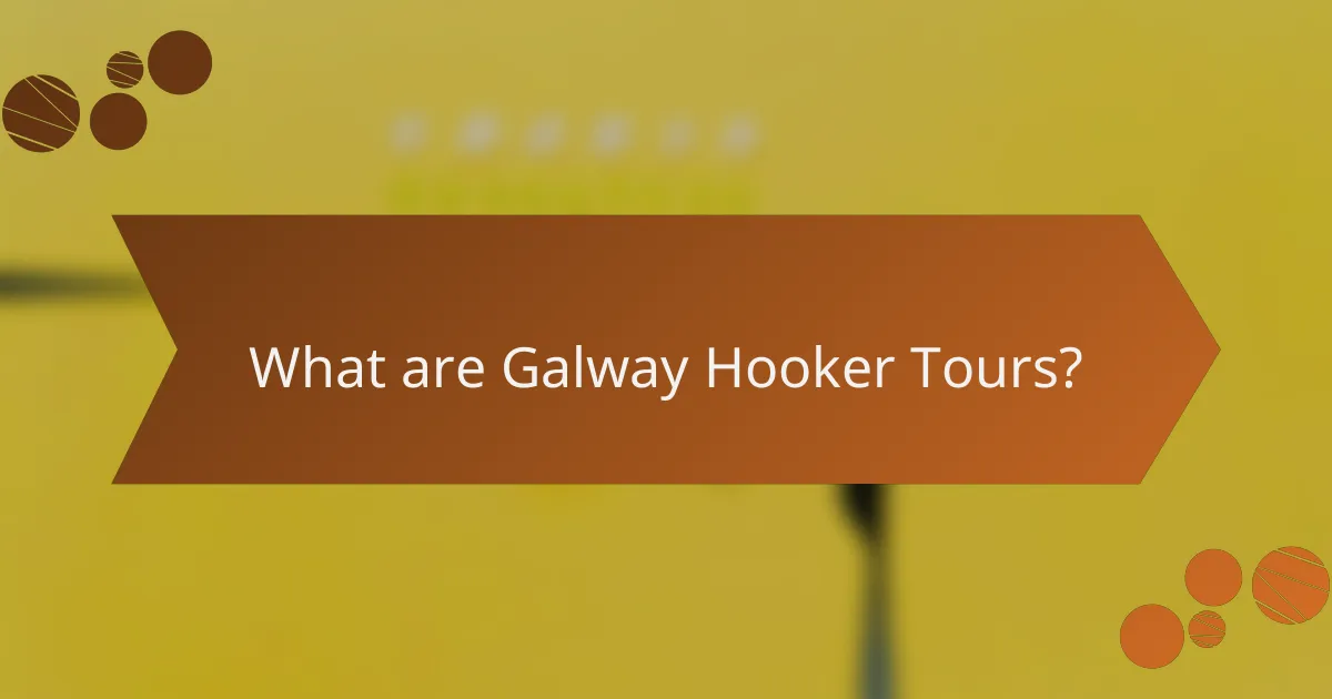 What are Galway Hooker Tours?
