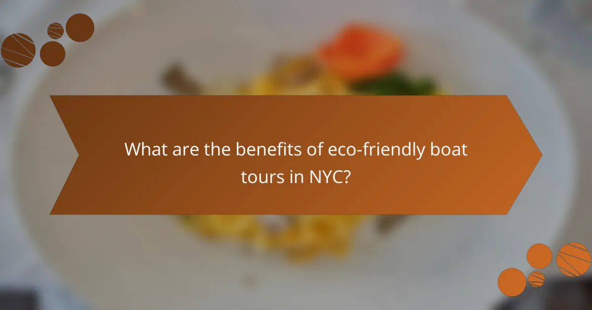 What are the benefits of eco-friendly boat tours in NYC?