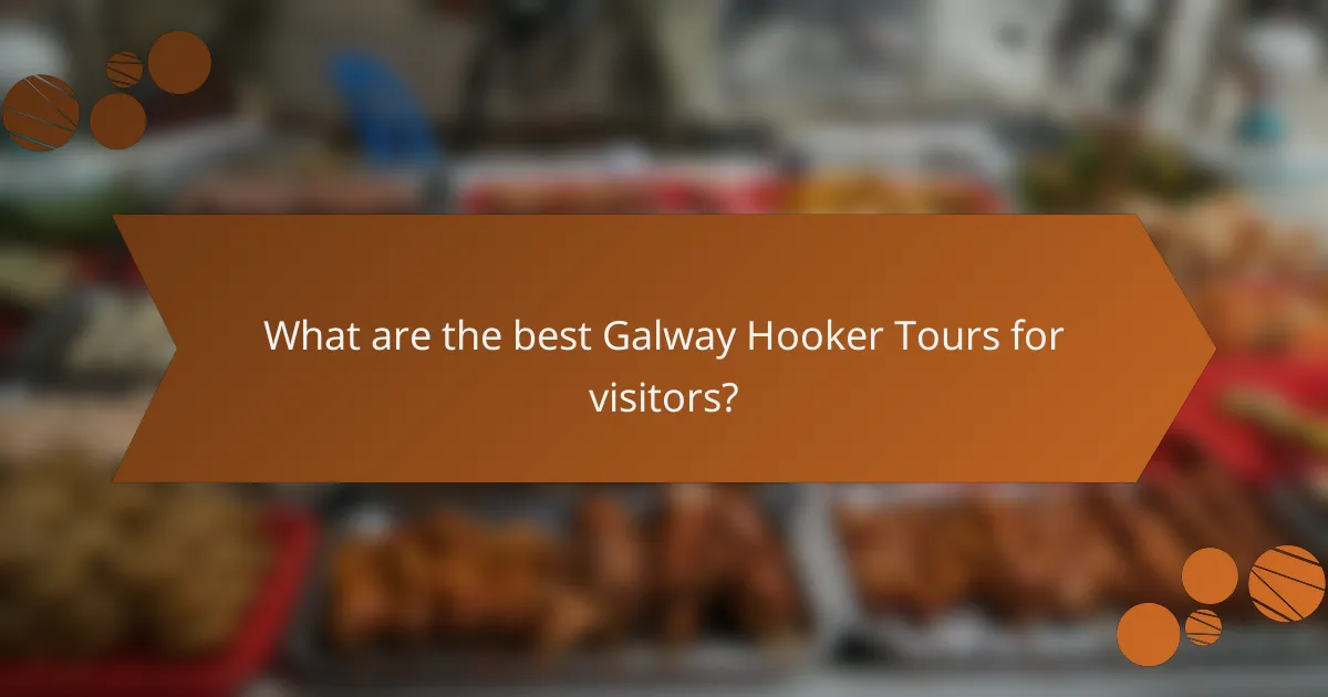 What are the best Galway Hooker Tours for visitors?