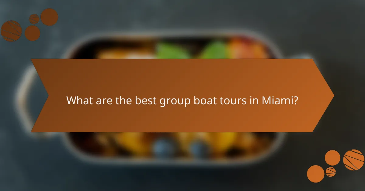 What are the best group boat tours in Miami?