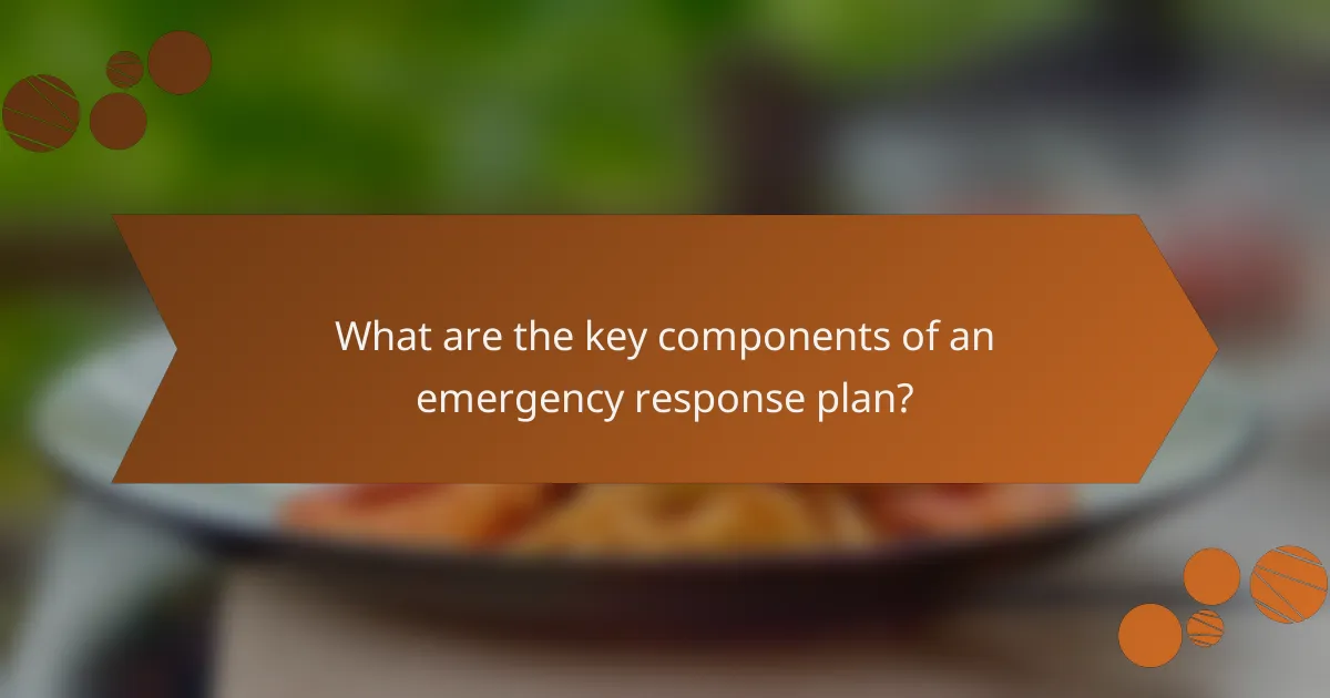 What are the key components of an emergency response plan?