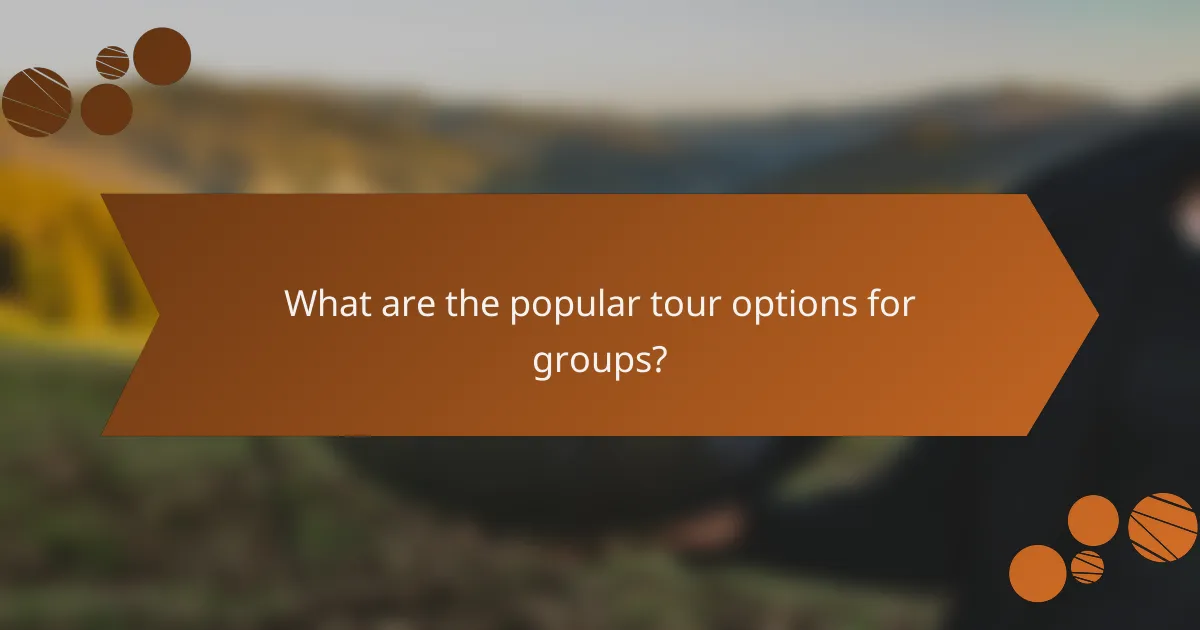 What are the popular tour options for groups?