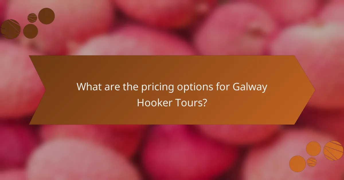 What are the pricing options for Galway Hooker tours?