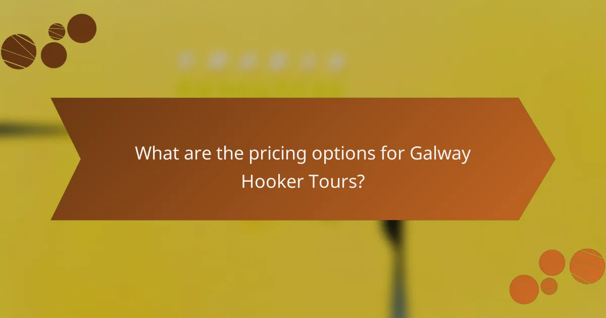 What are the pricing options for Galway Hooker Tours?