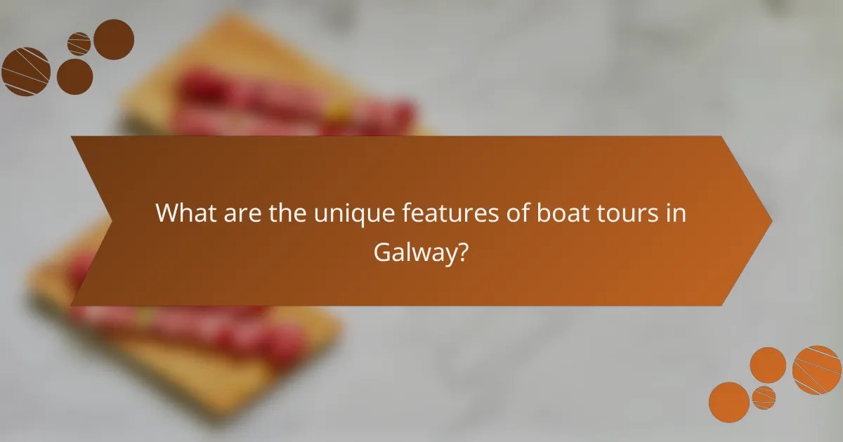 What are the unique features of boat tours in Galway?