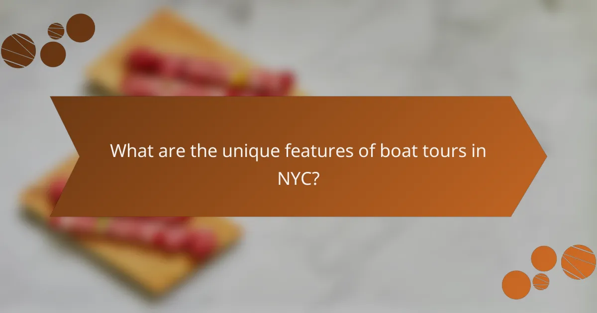 What are the unique features of boat tours in NYC?