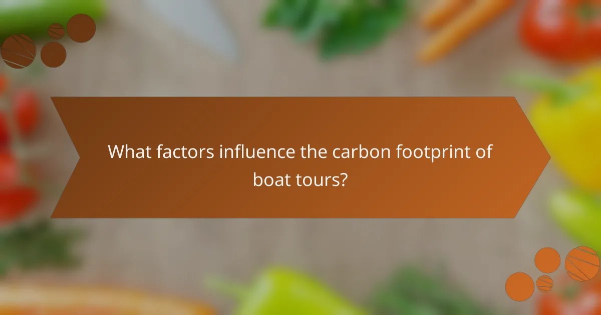 What factors influence the carbon footprint of boat tours?