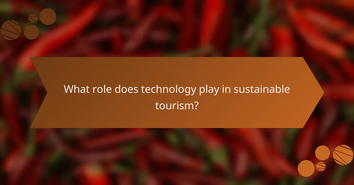 What role does technology play in sustainable tourism?