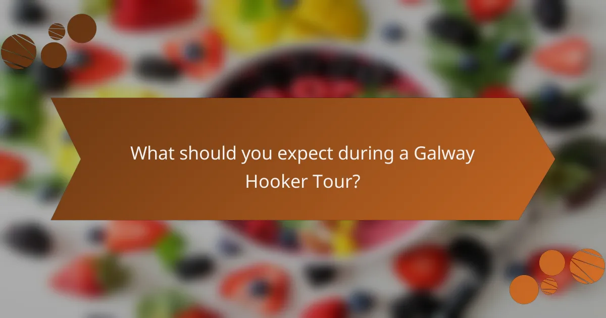 What should you expect during a Galway Hooker Tour?